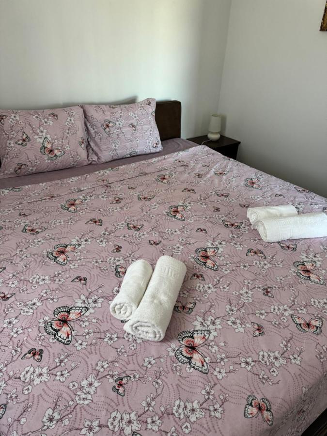 Apartments Airport Golubovci Podgorica Zewnętrze zdjęcie
